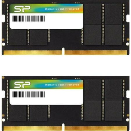 Μνήμη RAM Silicon Power SP064GBSVU560F22